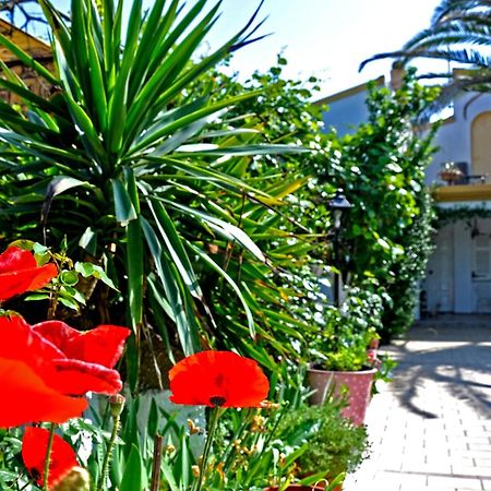 Villa Elena Studios Dassia  Exterior foto
