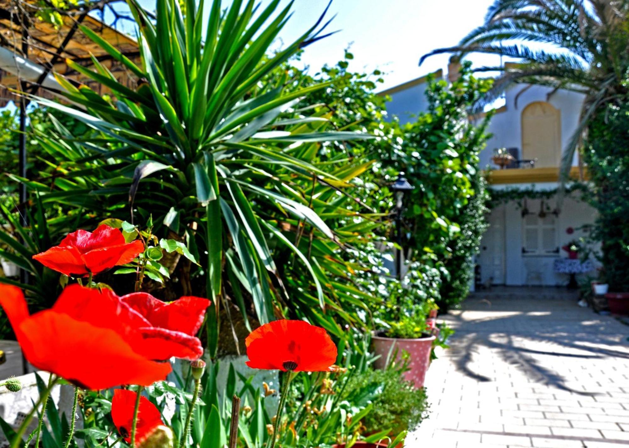Villa Elena Studios Dassia  Exterior foto